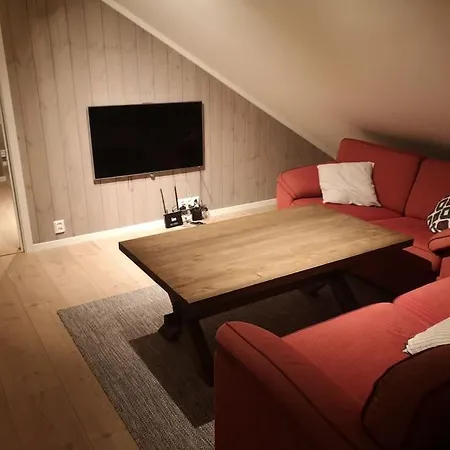 Stor Og Moderne Hytte Med Panoramautsikt