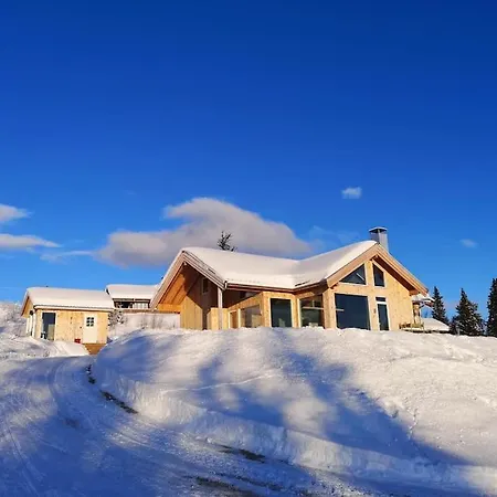 Stor Og Moderne Hytte Med Panoramautsikt Liagardane