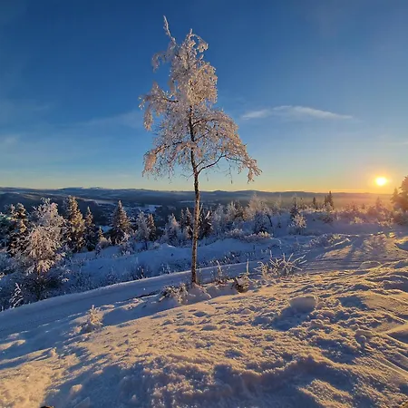 Stor Og Moderne Hytte Med Panoramautsikt Dom wakacyjny Liagardane